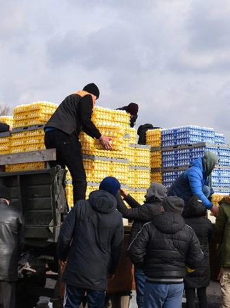 Eggs for Ukraine