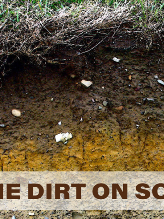 The Dirt on Soil 3