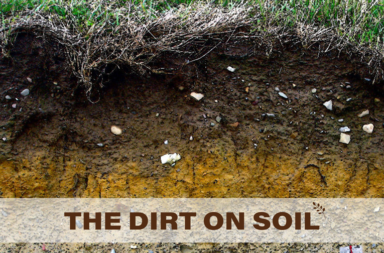 The Dirt on Soil 3