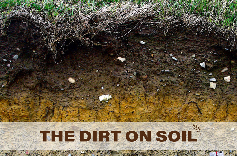 The Dirt on Soil 3