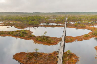 wetlands in Estonia