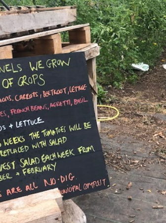 Sims Hill Shared Harvest CSA