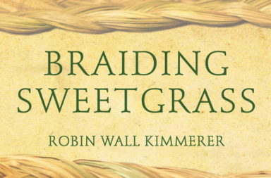 Braiding Sweetgrass cover