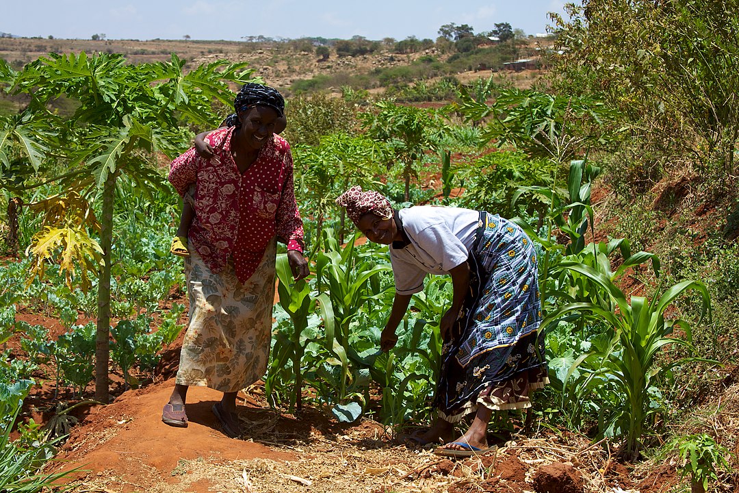 Women smallholder farmers