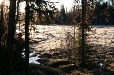 Moose hunting