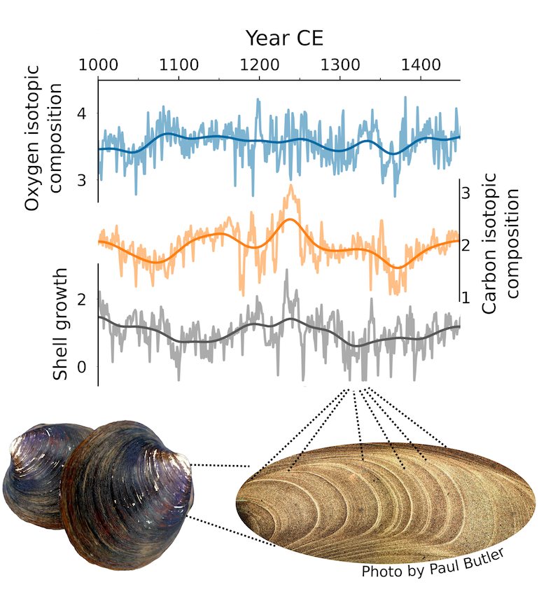 Clam Shells Show How North Atlantic tipped Into Little Ice Age 