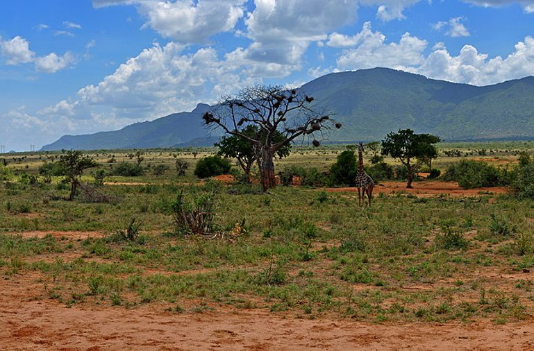 National park in Kenya
