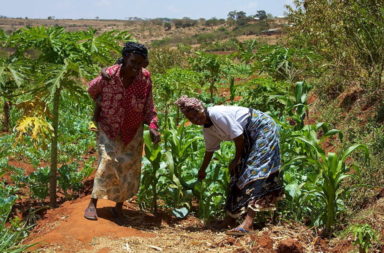 Women smallholders in Africa