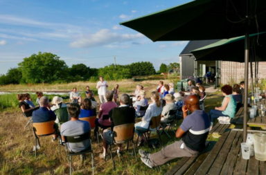 Sutton Community Farm