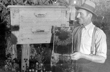 Beekeeper in Hungary (1932).