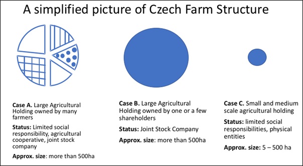 Figure 1: Simplified picture of Czech Farm Structures (Source: Matteo Metta’s elaboration)