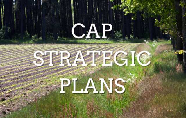 CAP Strategic Plans