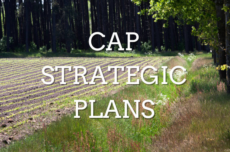 CAP Strategic Plans