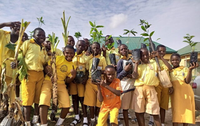 schoolchildren planting trees