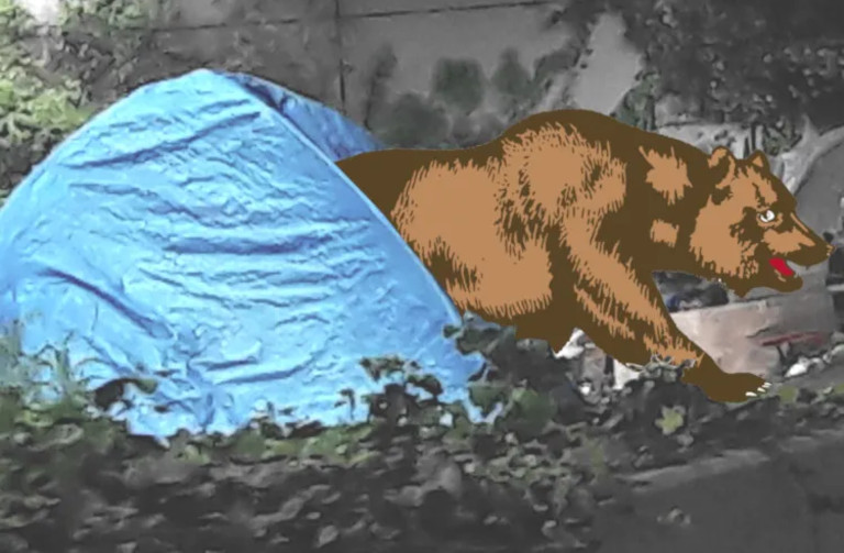 homeless bear