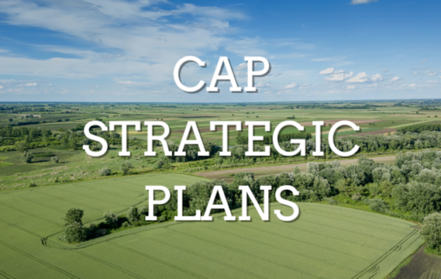 CAP Strategic plans
