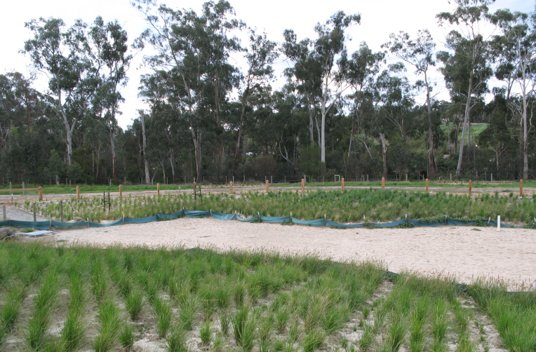 Wetland restoration in Australia