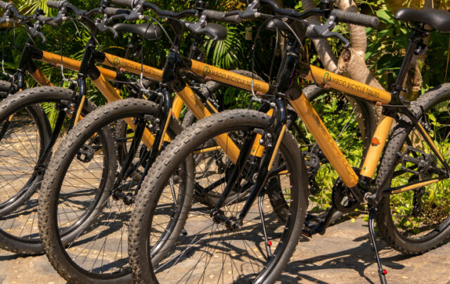 Bamboo Bicycles