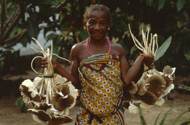 Mbuti woman with mushrooms