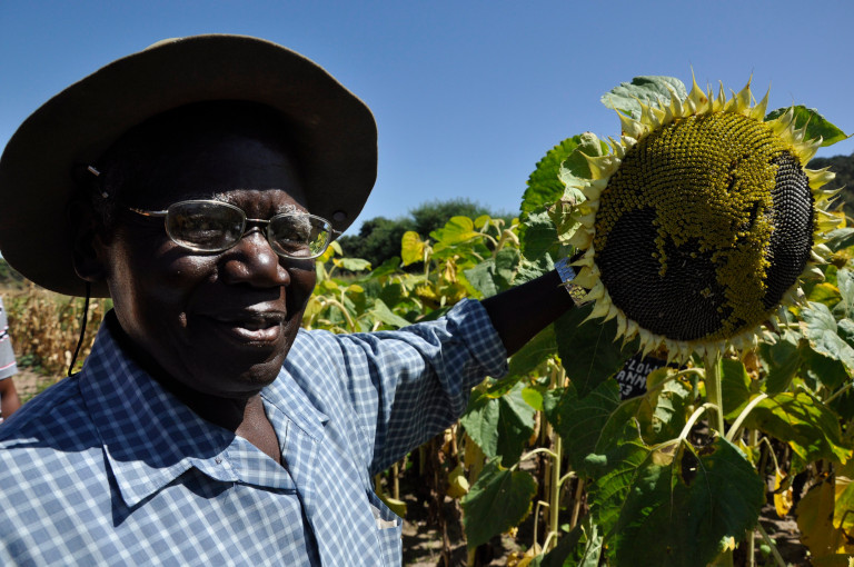 Geoffrey, Zambian smallholder