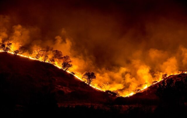 Tree ridge in flames during the 2018 Woolsey Fire, California, US (2018)