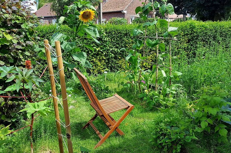 Permaculture garden