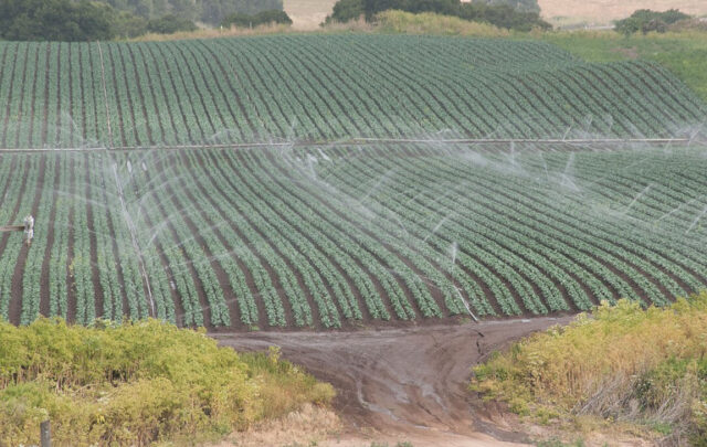 irrigation in transition in California