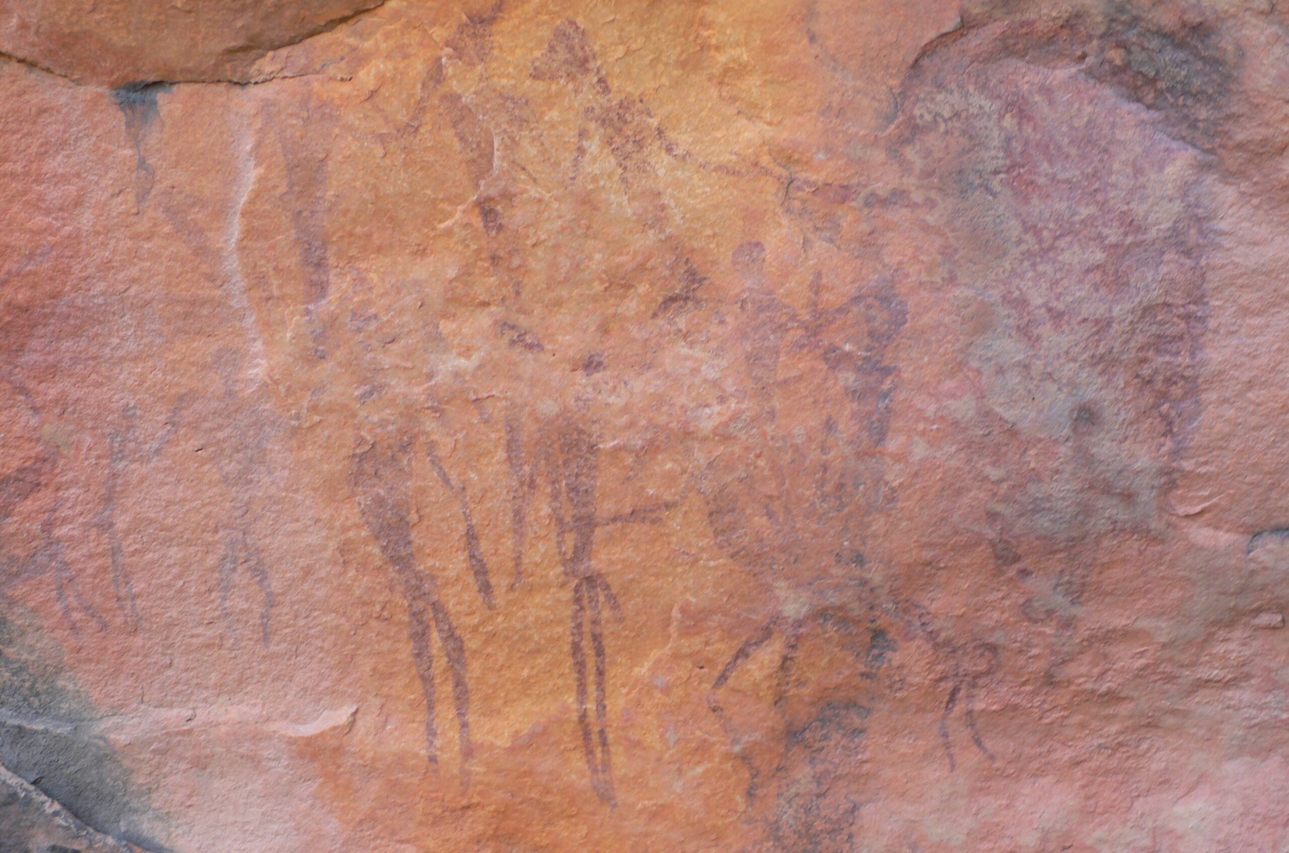 San rock art from South Africa