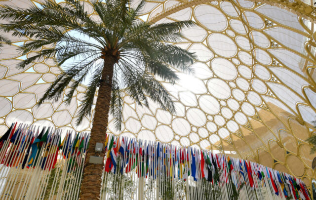 COP 28 flags at Dubai