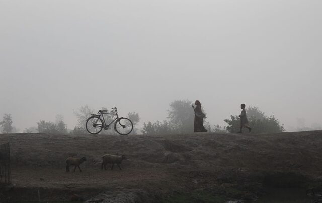 Bicycle on an "akba" - a long and high embankment (Bengali)
