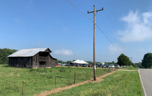 Farm auction in Tennessee