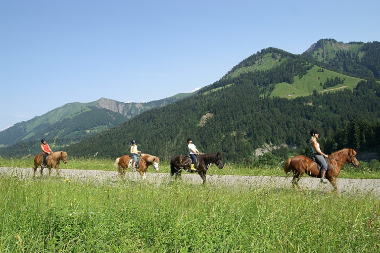 Trail riding with horses