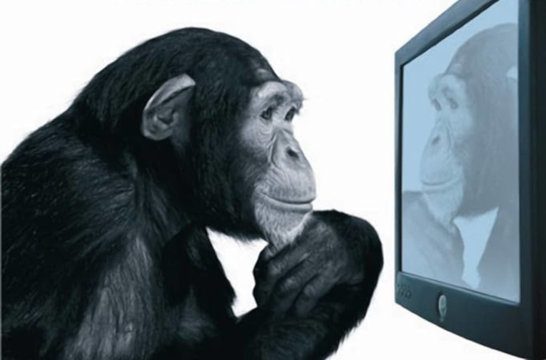 A short history of progress bookcover