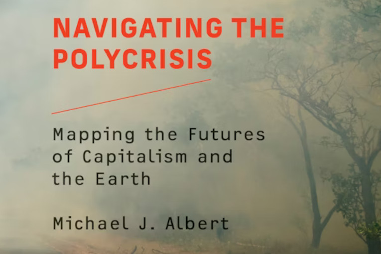 Navigating the Polycrisis: Excerpt