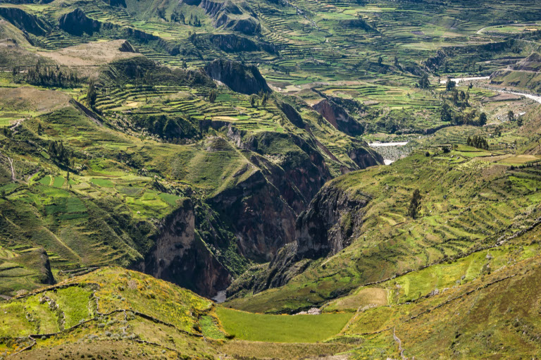 Terraces in the Andes