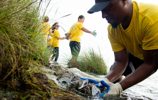 Oyster reef restoration
