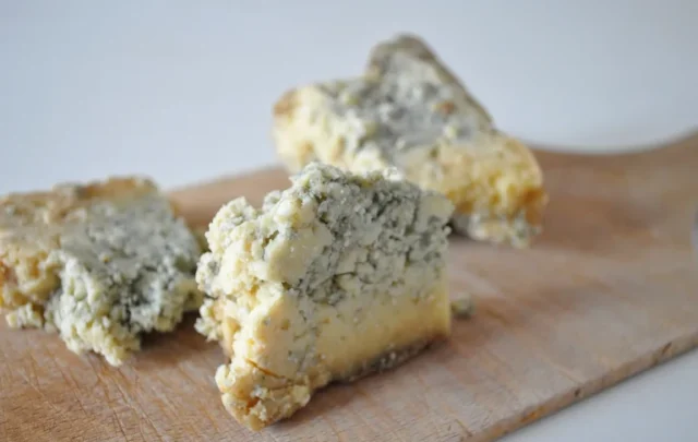 cheese with mold