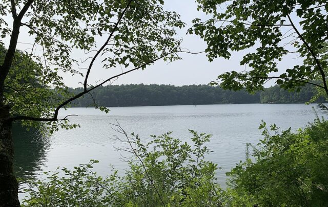 Walden Pond