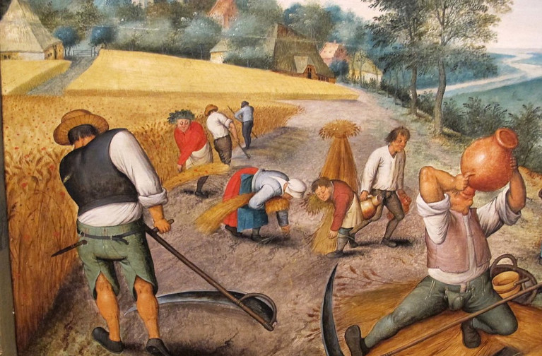 Peasants harvesting crops, by Pieter Brueghel.