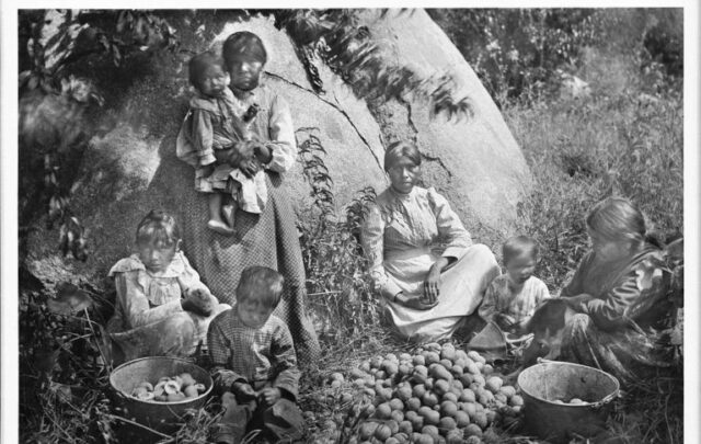 Yokut tribal members processing peaches