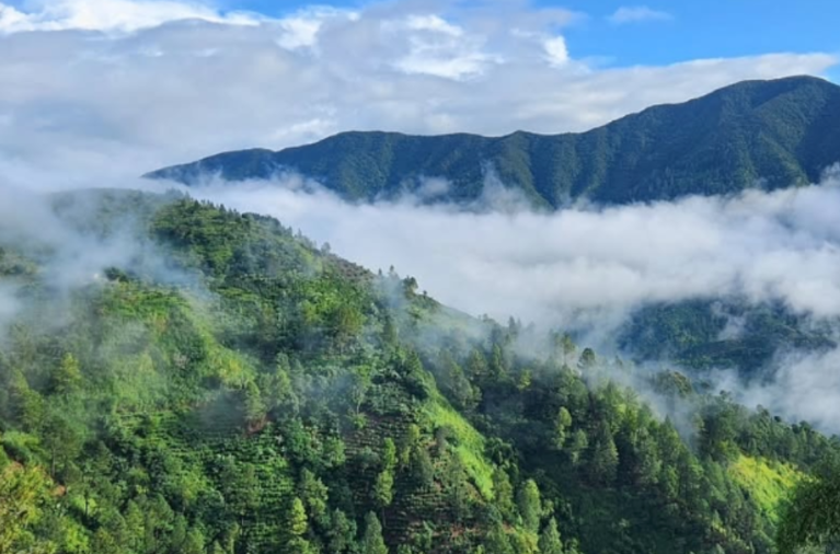 Blue Mountains in Jamaica