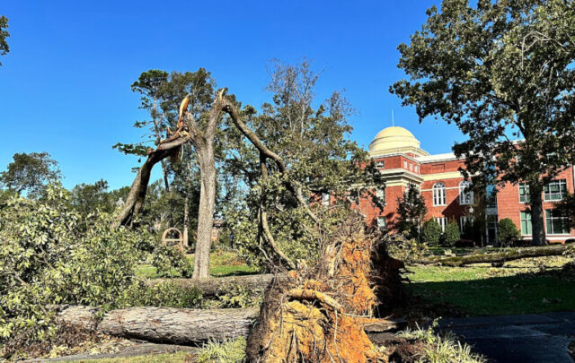 Hurricane Helene damage in South Carolina