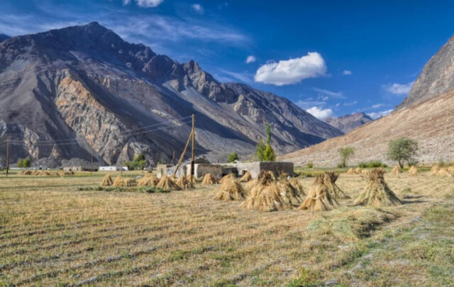 Farming in Tajikistan