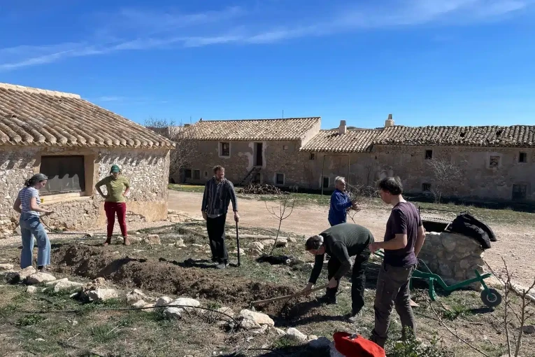 Replanting trees in the Altiplanto