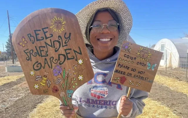 Bee-friendly garden in Alamagordo
