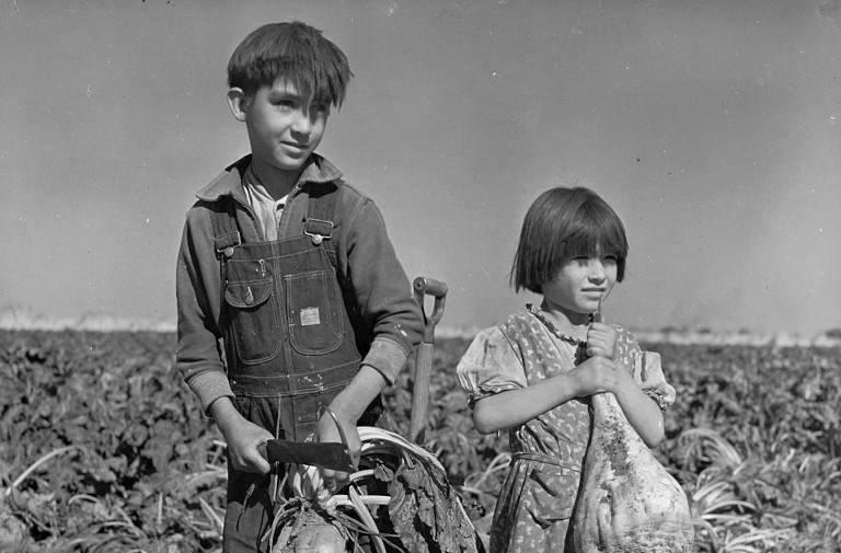 Children and Sugar Beets