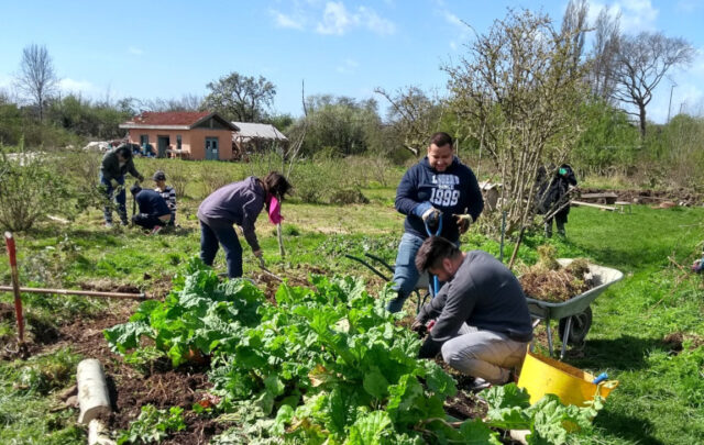 Community-supported agriculture in actions
