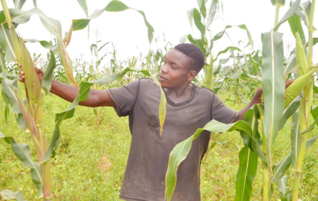 A RUWAI community project beneficiary on his farm during a monitoring visit.