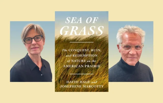 Sea of Grass book