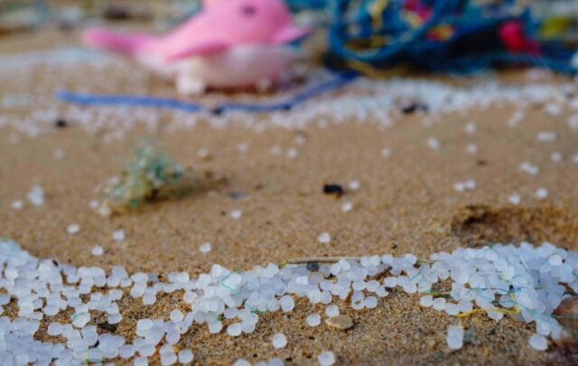 Plastic pollution on a beach